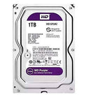 WD Purple 1TB
